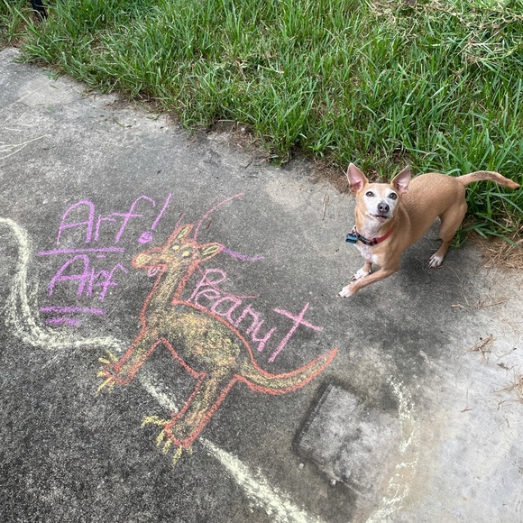 🌟Posh Ambassador,Tara🌟 - Picture 7 of 7